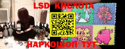 PSILOCYBIN Вязники