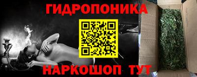 PSILOCYBIN Вязники