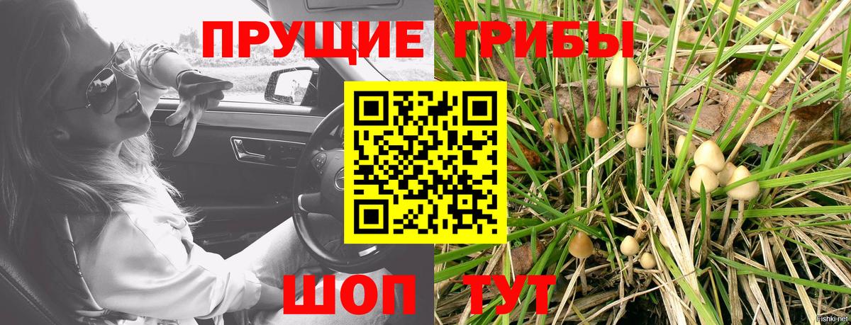 как найти закладки  Вход с VPN  Галлюциногенные грибы мухоморы  Каменка  Галлюциногенные грибы мухоморы 